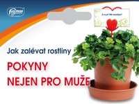 Cenovky-Jak mnoho zalvat rostliny  5ks